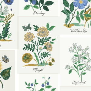 Rifle Paper - Curio - Botanical Prints in Blue Multi - Canvas -  Half Yard