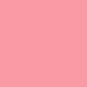 Tula Pink Solid - Taffy - Half Yard