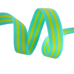 Tula Pink Webbing - Lime and Turquoise 1"