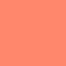 Tula Pink Solid - Persimmon - Half Yard